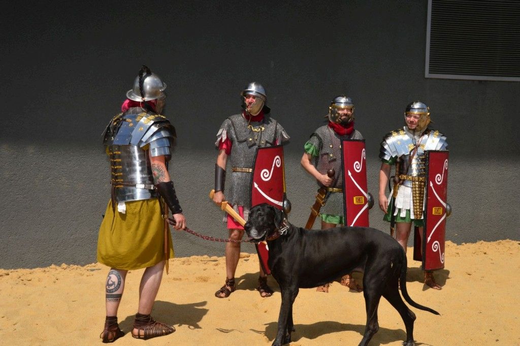 Centurio Callidus soll nacheinander gegen drei Gladiatoren von Amor Mortis antreten (Foto: Arche Nebra, E. Becher)